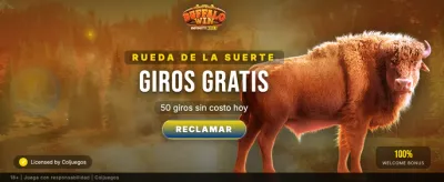 Calculadora de Surebets Profesional